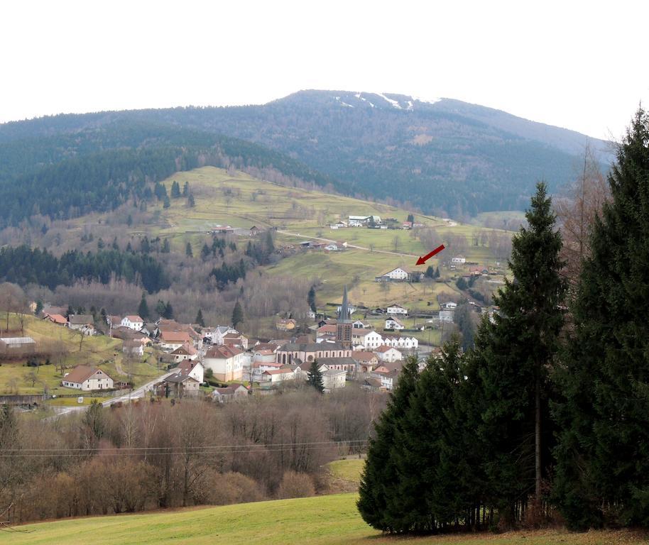 Les Hauts De Brochot Saint-Maurice-sur-Moselle Quarto foto